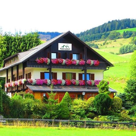 Pension Lambrecht Sankt Lambrecht Zewnętrze zdjęcie